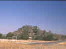 Full Size Image