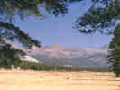 Full Size Image