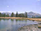 Full Size Image