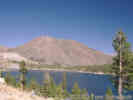 Full Size Image