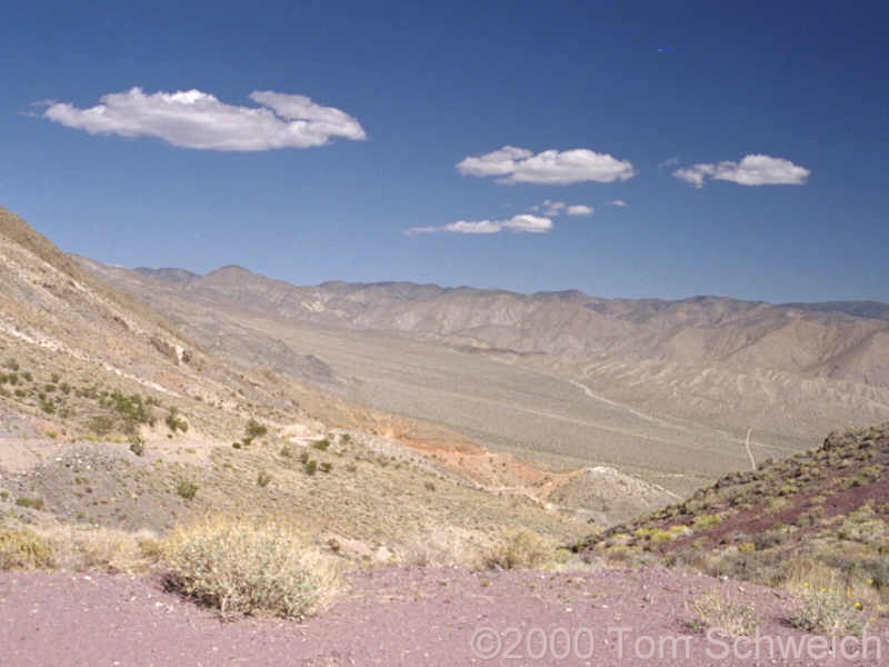 Valley on east side of Last Chance Range.
