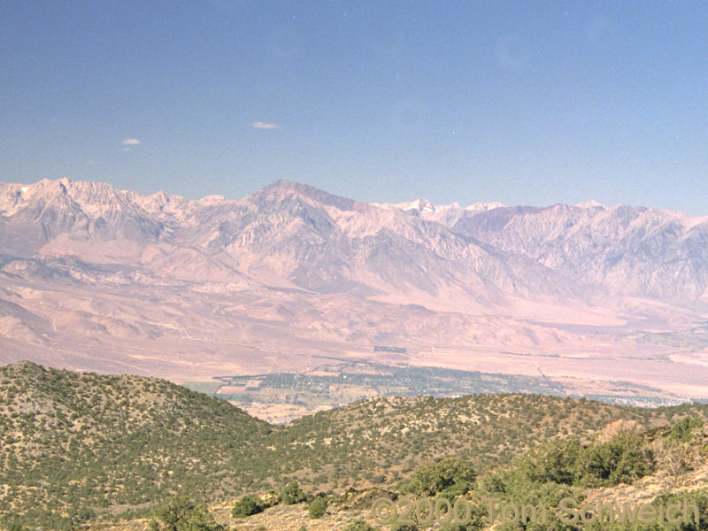 Bishop and Mt Tom from the White Mountains