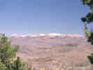 Full Size Image