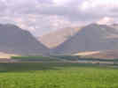Full Size Image