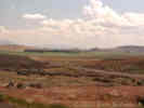 Full Size Image