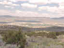 Full Size Image