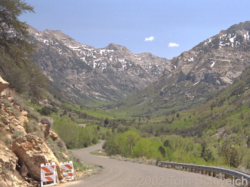 View up Lamoille Canyon.
