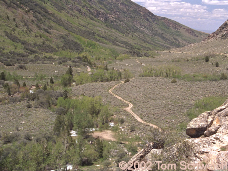 View down Lamoille Canyon
