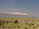 Full Size Image