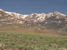 Full Size Image