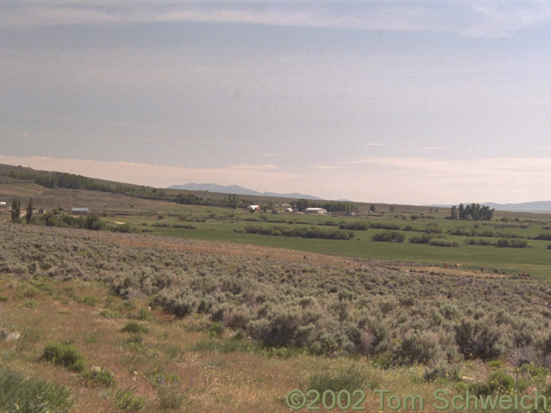 Ruby Valley, Elko County, Nevada