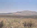 Full Size Image