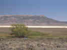 Full Size Image