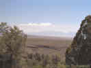 Full Size Image