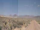 Full Size Image