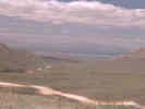 Full Size Image