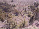 Full Size Image