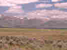 Full Size Image