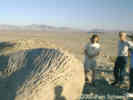 Full Size Image