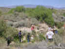 Full Size Image
