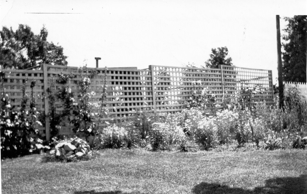 Chicken House