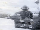 Full Size Image