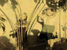 Full Size Image