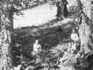 Full Size Image
