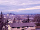 Full Size Image