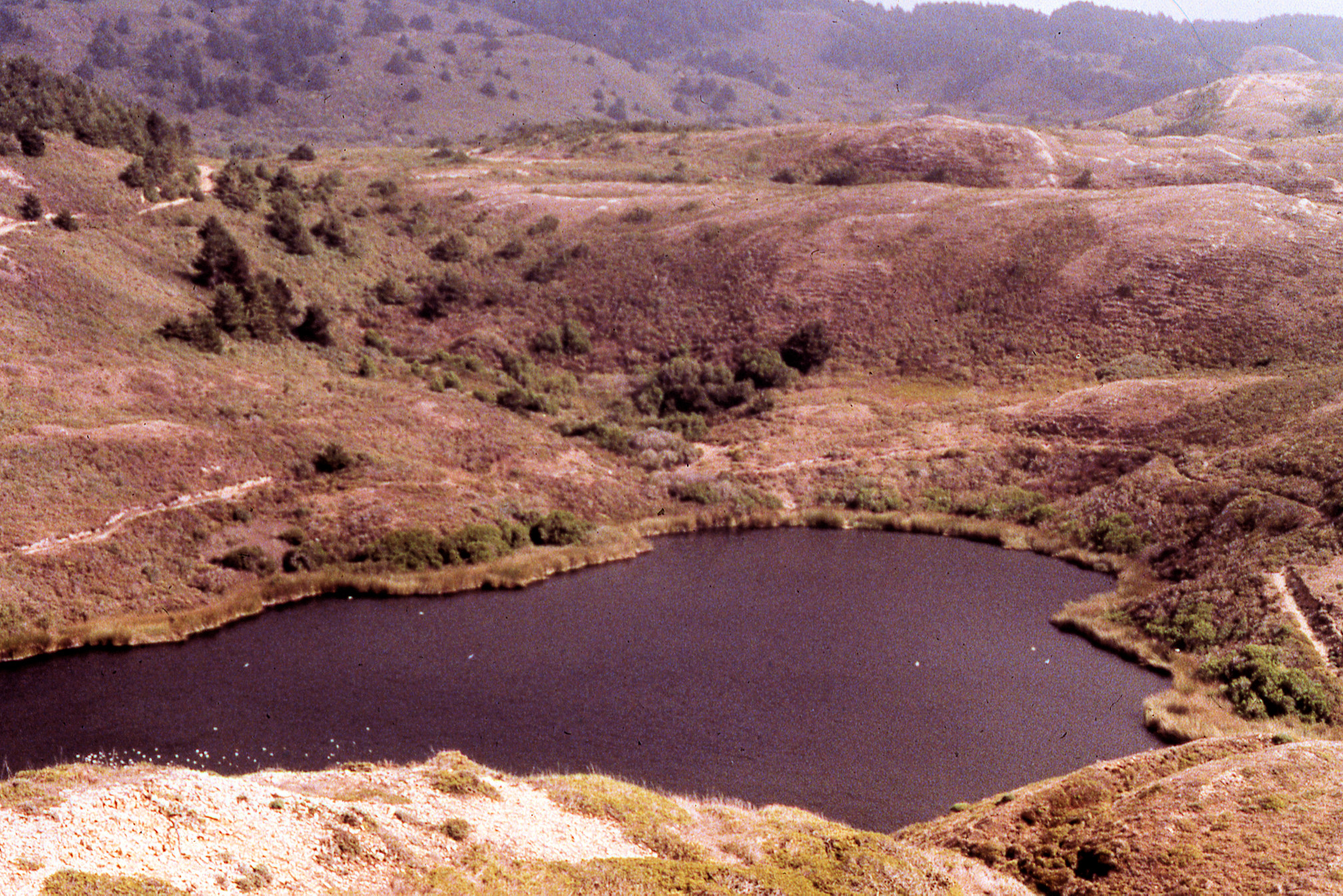 California, Marin County, Point Reyes National Seashore, Pelican Lake