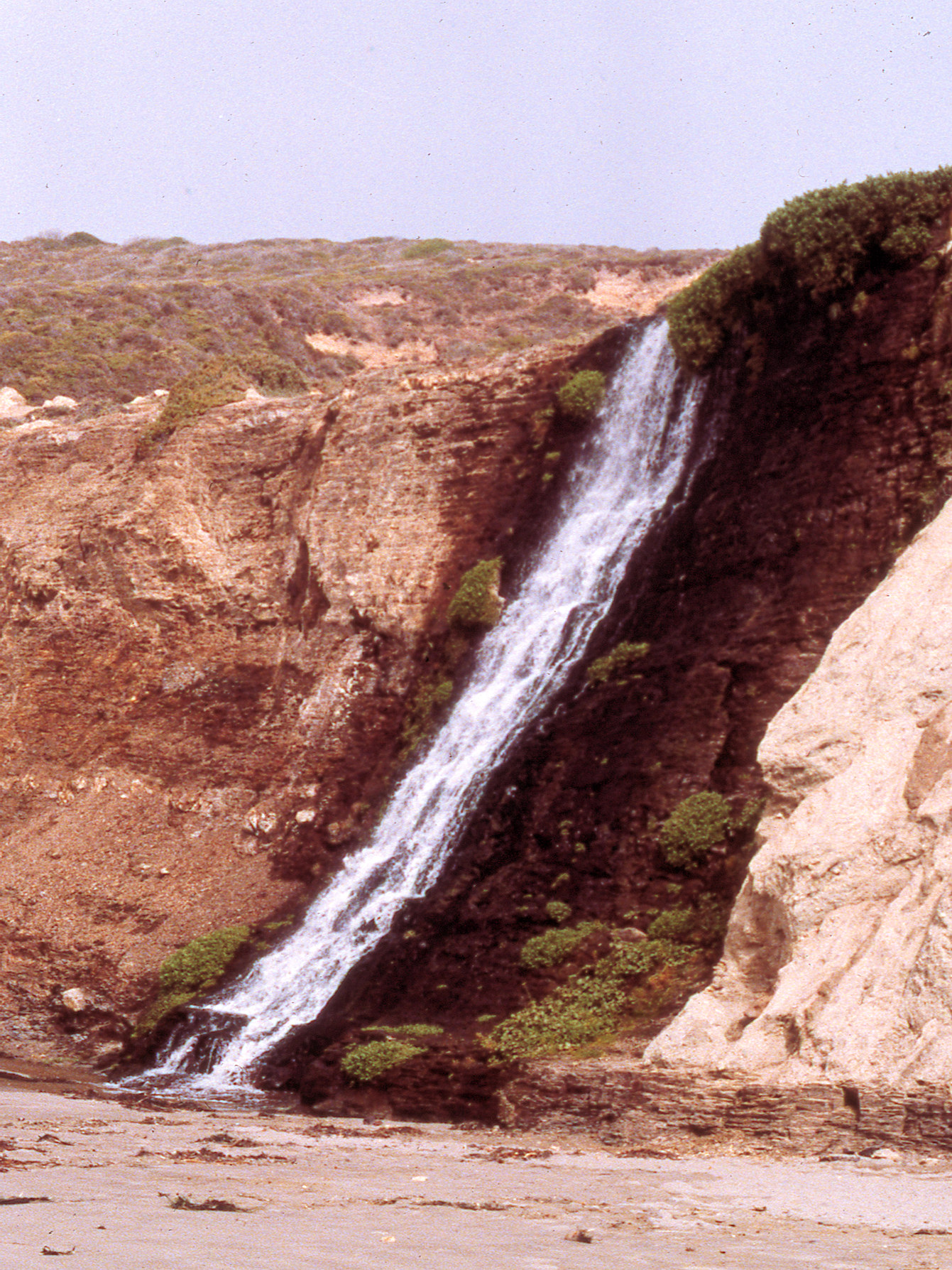 California, Marin County, Point Reyes National Seashore, Wildcat Beach