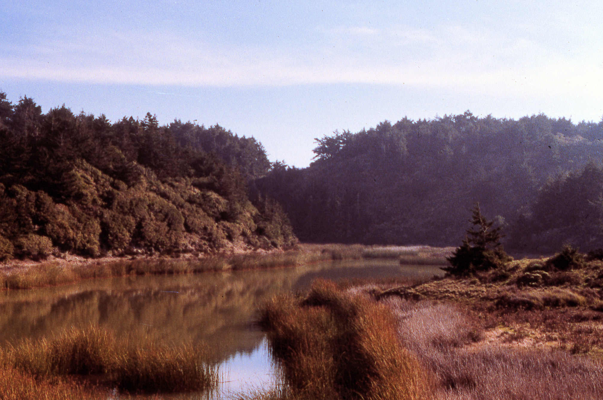 California, Marin County, Point Reyes National Seashore, Crystal Lake