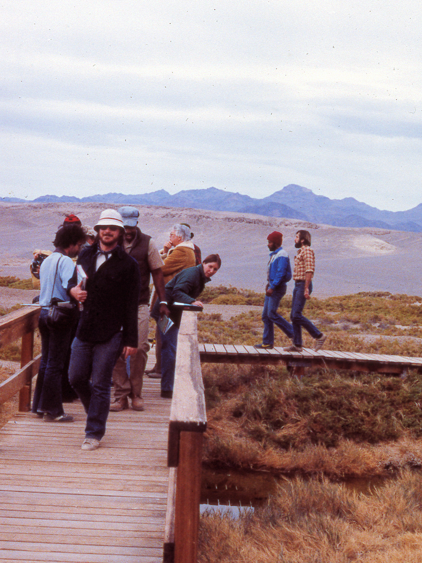 California, Inyo County, Death Valley, Salt Creek