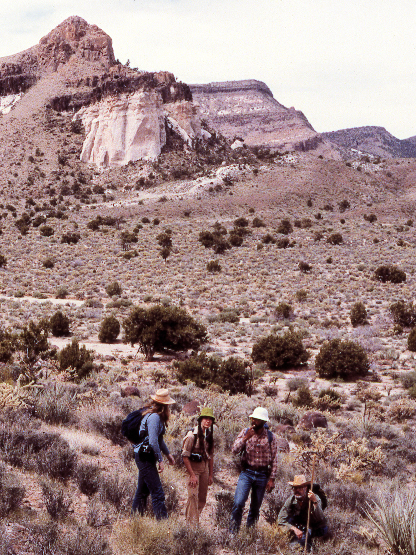 California, San Bernardino County, Barber Mountain