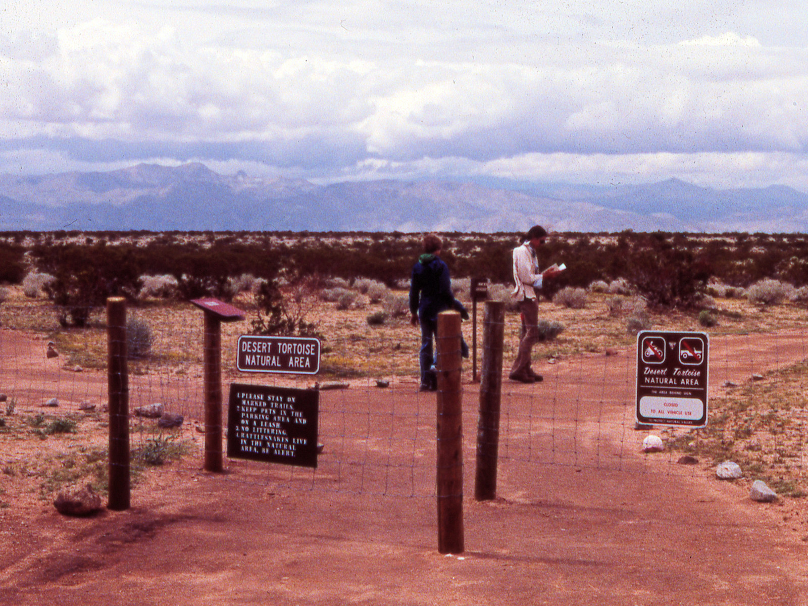 California, San Bernardino County, Desert Tortoise Natural Area