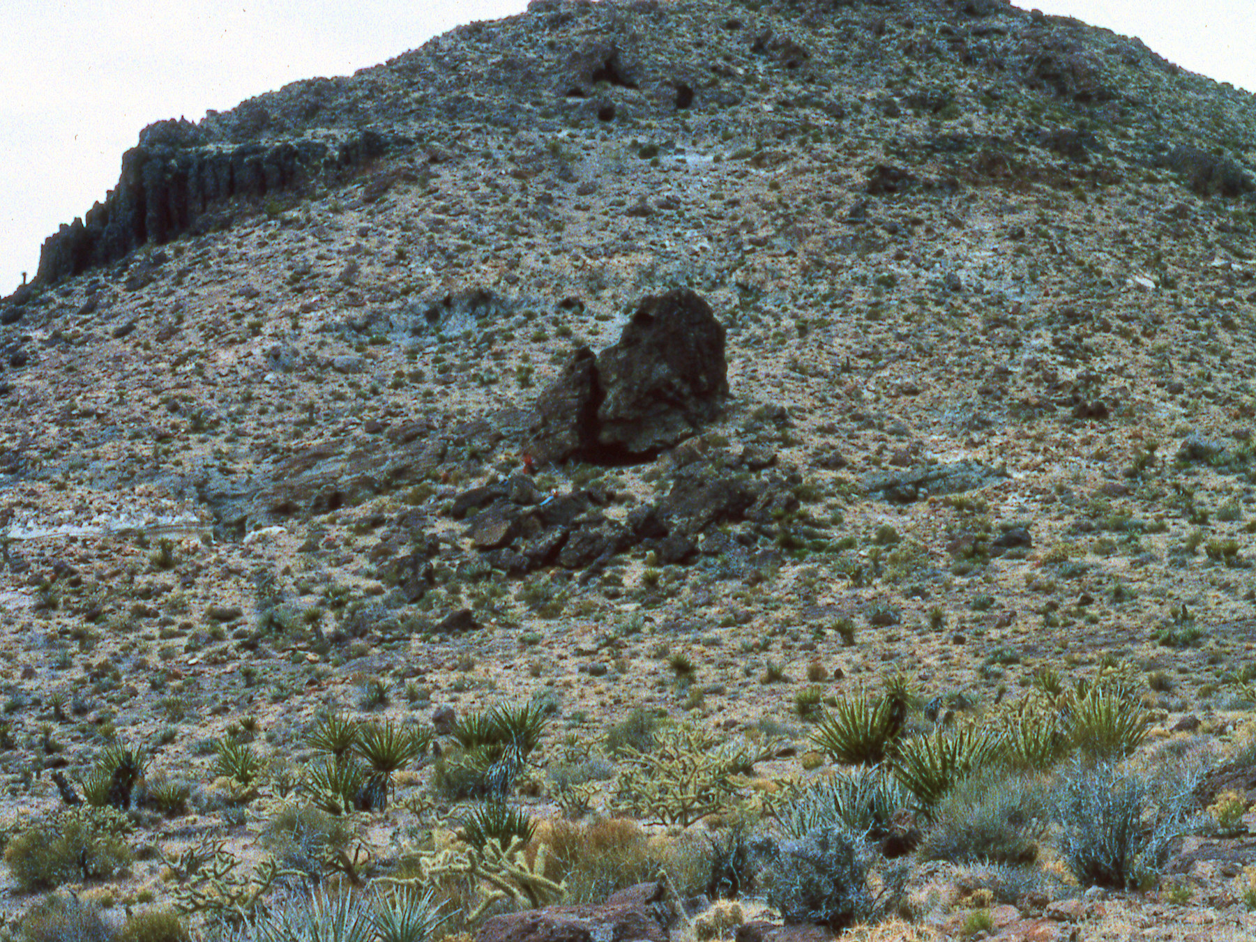 California, San Bernardino County, Woods Mountains