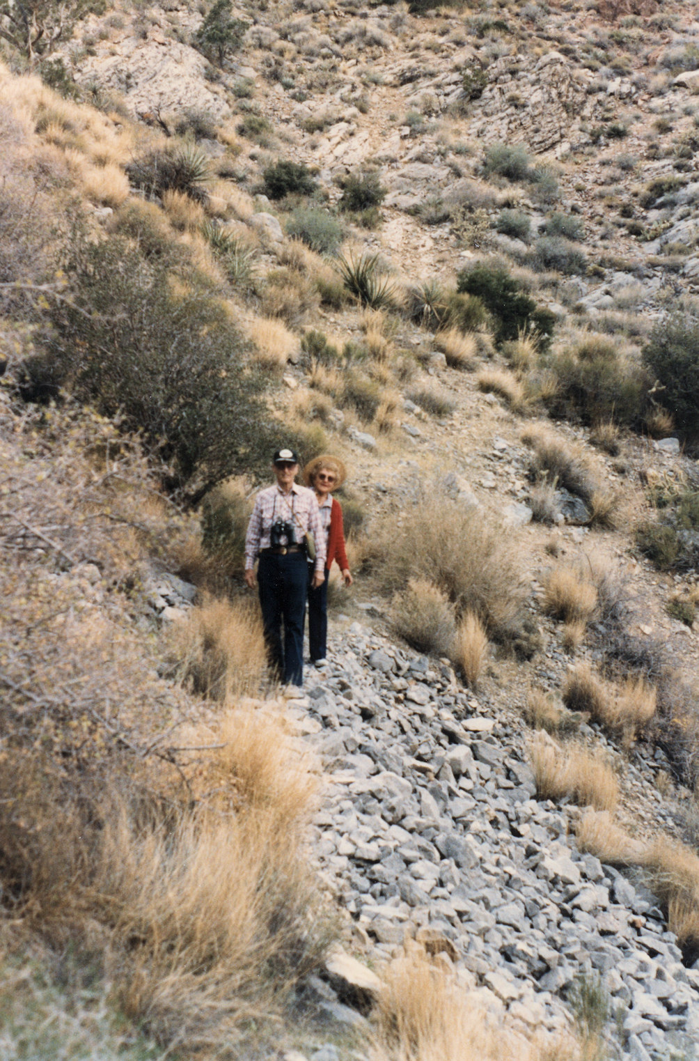 California, San Bernardino County, Barber Mountain
