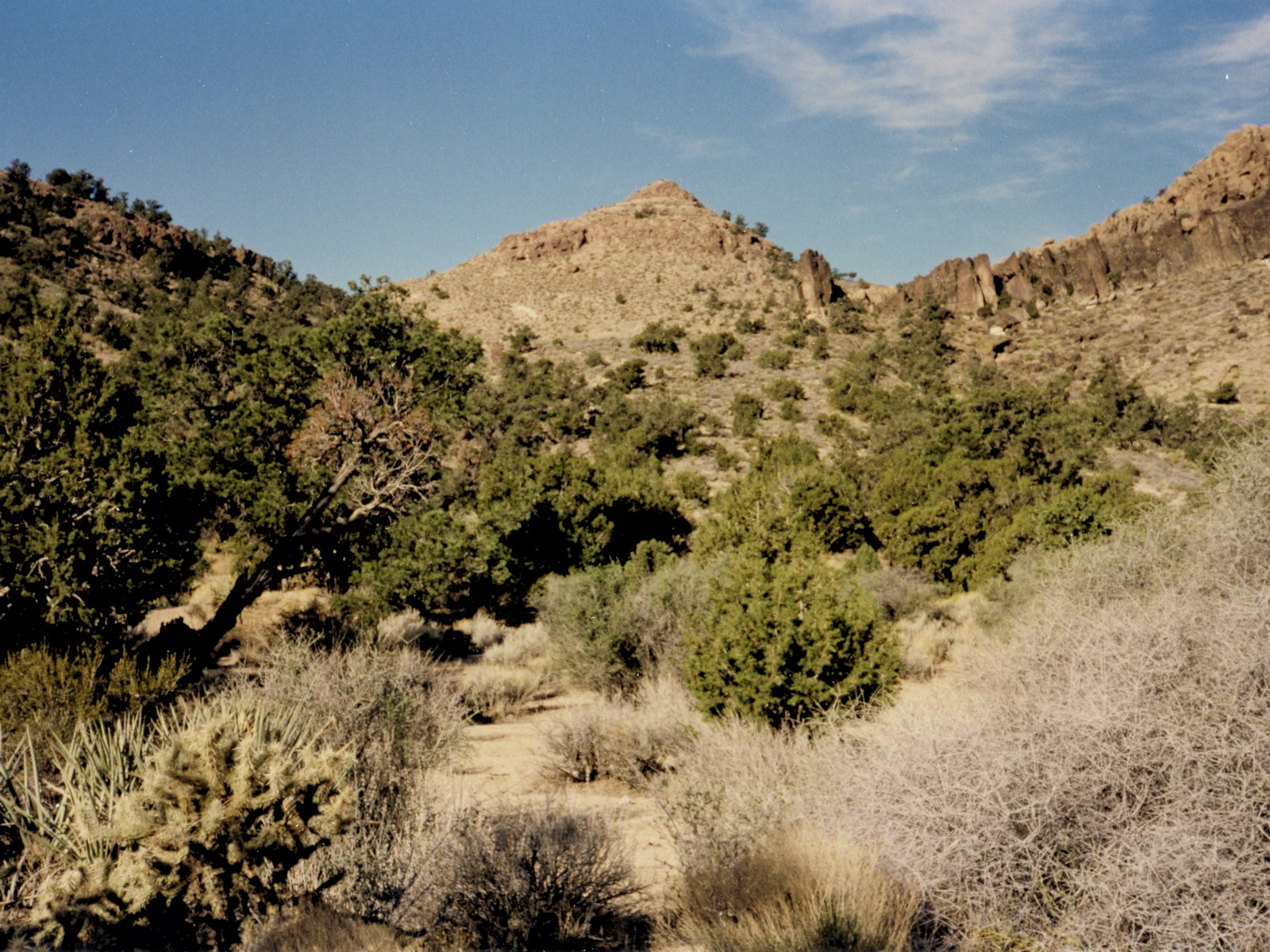 California, San Bernardino County, Lobo Point