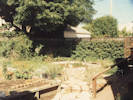 Full Size Image