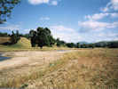 Full Size Image