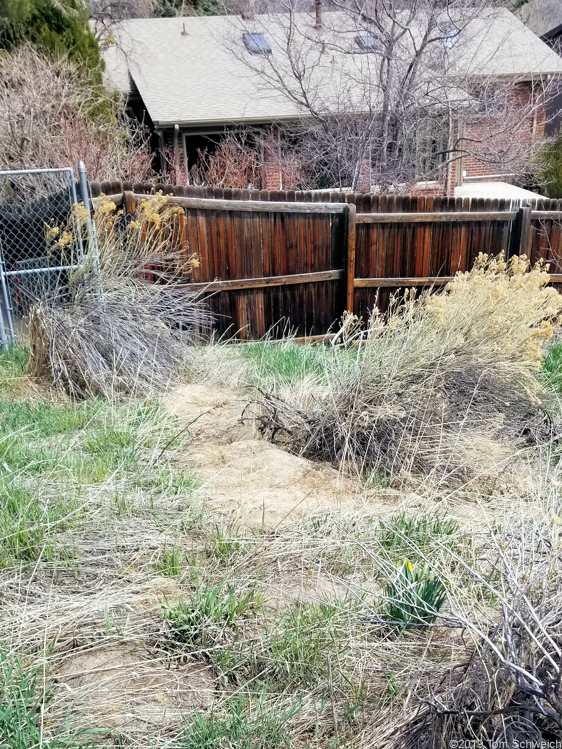Colorado, Jefferson County, Golden, Schweich Hill