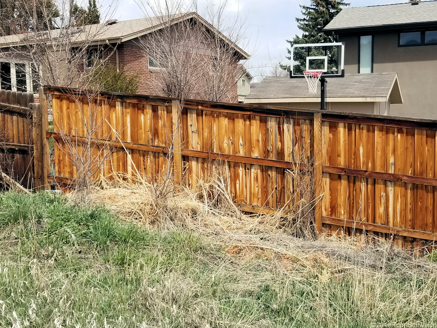 Colorado, Jefferson County, Golden, Schweich Hill