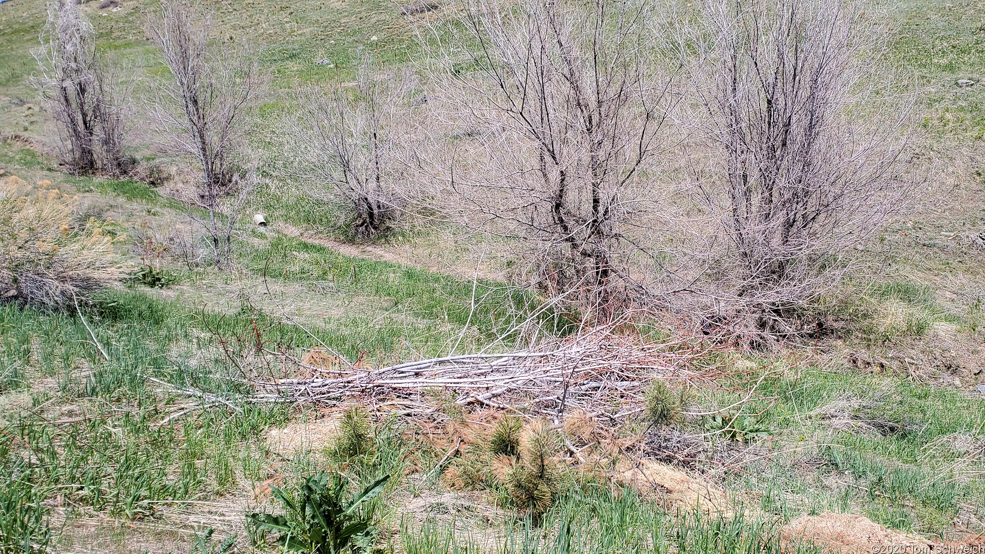 Colorado, Jefferson County, Dakota Ridge