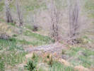 Full Size Image