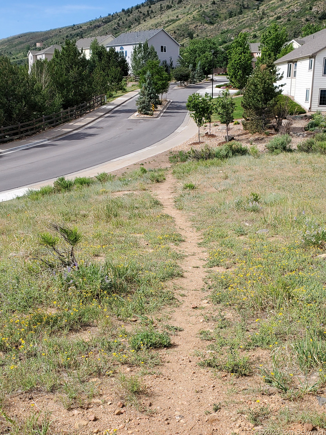 Colorado, Jefferson County, Survey Field