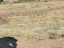 Full Size Image