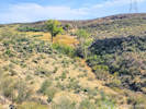 Full Size Image