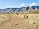 Full Size Image