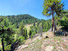 Full Size Image