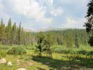 Full Size Image